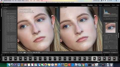 Adobe Lightroom Classic Tip(1) - Sharpening image by YoungK Photography