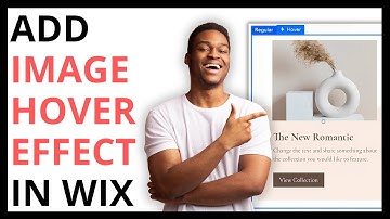 How to Add Hover Effect on Image in Wix [QUICK GUIDE]