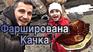 Фарширована Качка Пошуки скарбів Фарширована Качка Пошуки скарбів