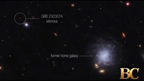 The James Webb Space Telescope just found the oldest supernova ever seen