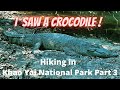 I Saw a Crocodile at Khao Yai National Park Thailand 4K-Trail 2 and Khao Khiao Pha Diew Dai เขาใหญ่