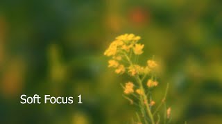 Review Canon EF 135mm f/2.8 Soft Focus screenshot 4