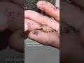 Welche Blumenerde überzeugt den Gartenprofi?