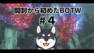 開封から始めたゼルダBOTW #4