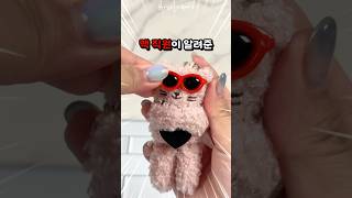 맥 직원이 알려준 맥냥이의 놀라운 비밀 ㄷㄷ