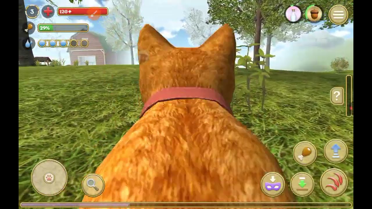 Cat Simulator №1  #catsimulator  #котик