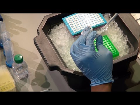 Educator's Guide to Nanopore—16s: PCR