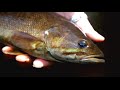 Single Hand Skagit for Smallmouth Bass - OPST