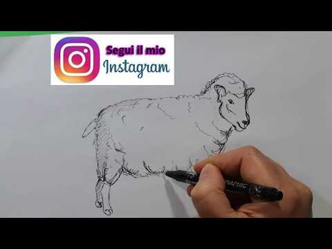 Video: EBook Gratuito Su Come Disegnare Animali