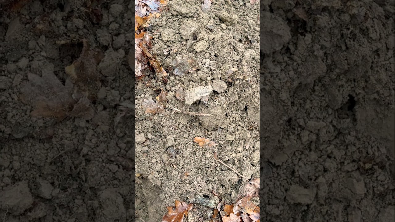 🔥ЭТО МЕСТО МЕНЯ ОБОГАТИЛО! 😱НАШЁЛ ПРОПАВШЕЕ ПОСЕЛЕНИЕ! 