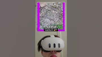 Can You See The Hidden Object #meme #reaction #greenscreen