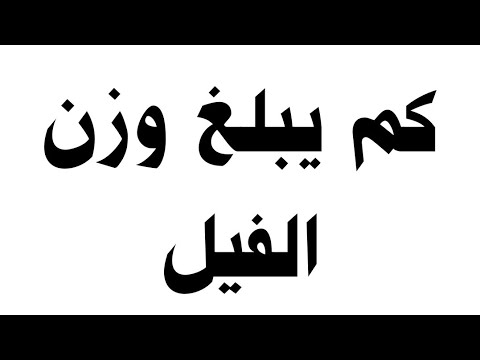 كم يبلغ وزن الفيل