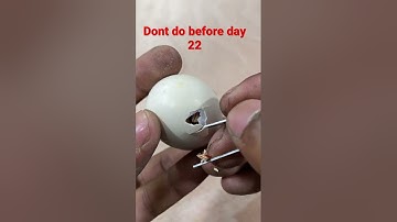 Helping hatching baby chick #mianinventions #eggincubator #chicks #egghatching