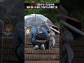 低血糖で動けなくなる少年。彼を救った優しさ溢れる行動に涙が止まらない #感動する話 #泣ける話 #kindness