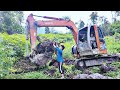 Remove the pineapple and use the soil to dig a fish pond