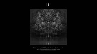 Alan Backdrop - Endia [MMV007]