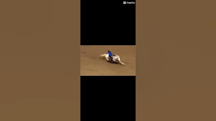 Donna Kay had a lot of accident in the 2025 NFR #nfr #horse #barrel race