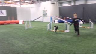 Testing Thor's obstacle focus for the first time
