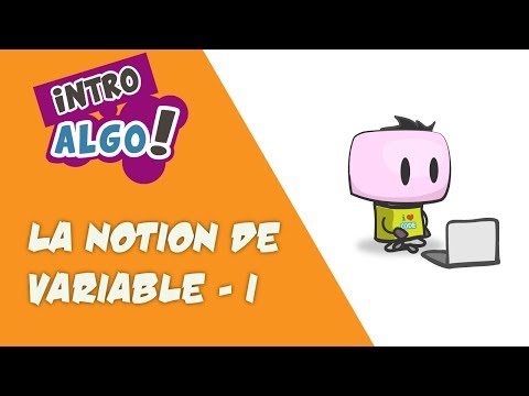 Vidéo: Qu'est-ce qu'une variable en informatique ?