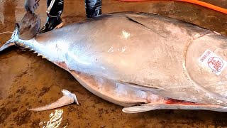 Jumbo 450kg Monster Bluefin Tuna Perfect Cutting #bluefintuna