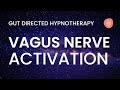 Healing your vagus nerve activate your cosmic synapse  gut directed hypnotherapy