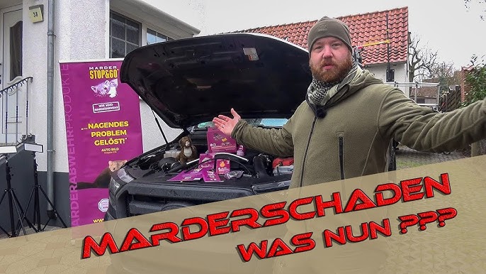 STOP&GO Marderabwehr im Test