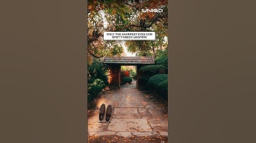 Thumbnail of Can you spot all the Loafers? #shoes #fashion #pairofshoes #chappal #mensfashion