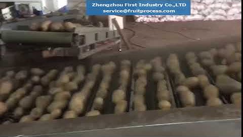 potato sorting grading packing plant in China, potato processing line
