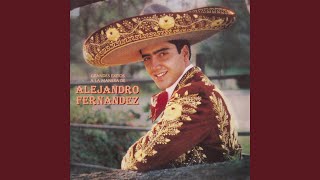 Video thumbnail of "Alejandro Fernández - Mitad Tú, Mitad Yo"