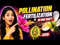 TNPSC AO | IBPS AFO | Seed Science & Biology: Pollination & Fertilization in One Shot!