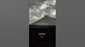 وإذا سمعوا ما أنـزل إلى الرسول ترى أعينهم تفيض من الدمع مما | الآية 83 من سورة المائدة