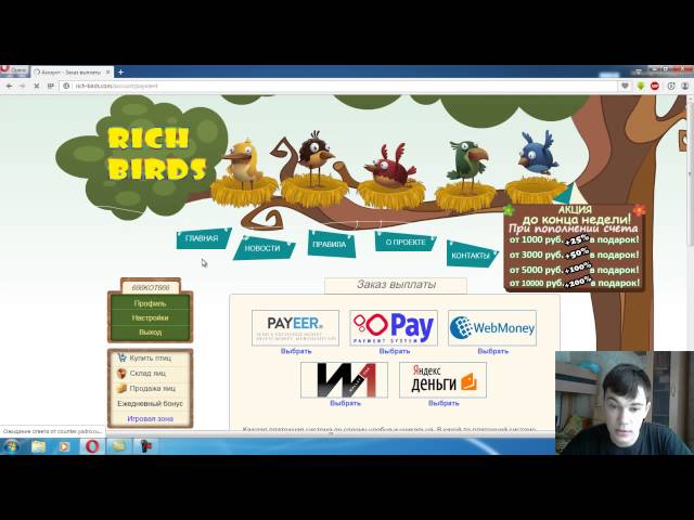 игра Rich Birds с выводом денег игра Rich Birds с выводом денег