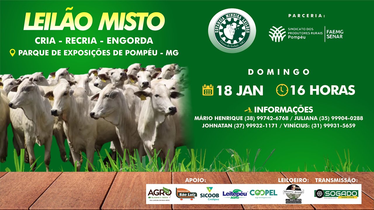 LEILÃO MISTO - ESTÂNCIA MINEIRA LEILÕES E SINDICATO DE POMPÉU/MG - 18/01/2026