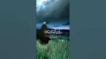 سورة النصر كاملة القارئ خالد الجليل