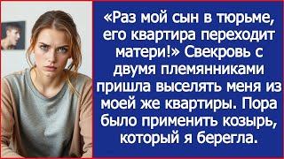 видео: «Раз мой сын в тюрьме, его квартира переходит матери!» Заявила свекровь. картинка: «Раз мой сын в тюрьме, его квартира переходит матери!» Заявила свекровь.