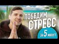 ИЗБАВЬСЯ ОТ СТРЕССА ЗА 5 МИНУТ - Никита Емельянов