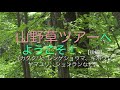 山野草ツアーへようこそ！　【後編】（カタクリ、レンゲショウマ、ギボウシ、ヤマユリ、シュンランなど）ー富久樹園チャンネルー