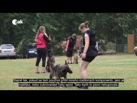 Video: Snižování Strachu Ze Zvířat Ve Veterinárním Prostředí: Jedna Zkušenost Veterináře