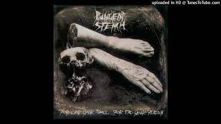 Pungent Stench – Suspended Animation