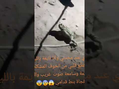 هههههههههههه صحاك الشوق من نومك وبقلبي نع كفي نومك