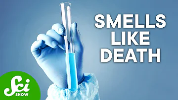 The 5 Most Dangerous Chemicals on Earth