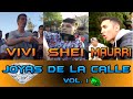 JOYAS de la CALLE (Vivi, Shei, Maurri) Batallas de Gallos - Vol.  1