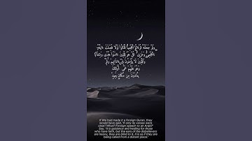 ﴿ هُدًى وَشِفَاءٌ ﴾ 🌙✨ سورة فصلت 44