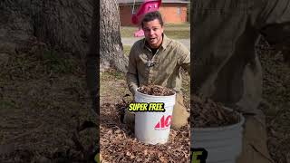 Cleanest Carbon Material #leaves #garden #farm #shorts