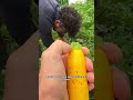 Come RACCOGLIERE le ZUCCHINE! #shorts #mattthefarmer #zucchine