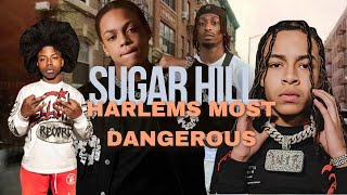 Inside Sugar Hill | Harlem's Most Infamous Hood |😳BIGLARRY REACTIONS