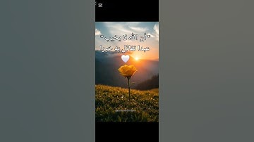استمع وأنصت للقرآن ✋قف احترم القرآن #صلوا_على_النبي وأکثروا #ﷺ#اذكار #ترند #دويتو #صلي