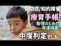 発達検査の結果が出たよ/療育手帳取得【自閉症/知的障害/４歳/発達障害】