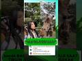 kocak BANGET, EKSPRESI FUJI SAAT TIRUIN JERAPAH BIKIN NGAKAK
