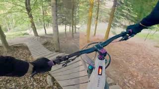 Splitscreen - Standard Gamma/CST vs. Proper ACES Workflow (GoPro Mission 1 PRO - 4K@30)